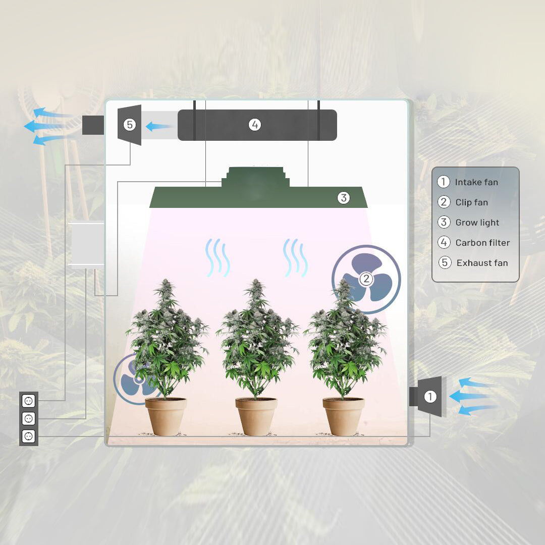 Maximizing Airflow: How to Keep Your Cannabis Grow Room Well Ventilated