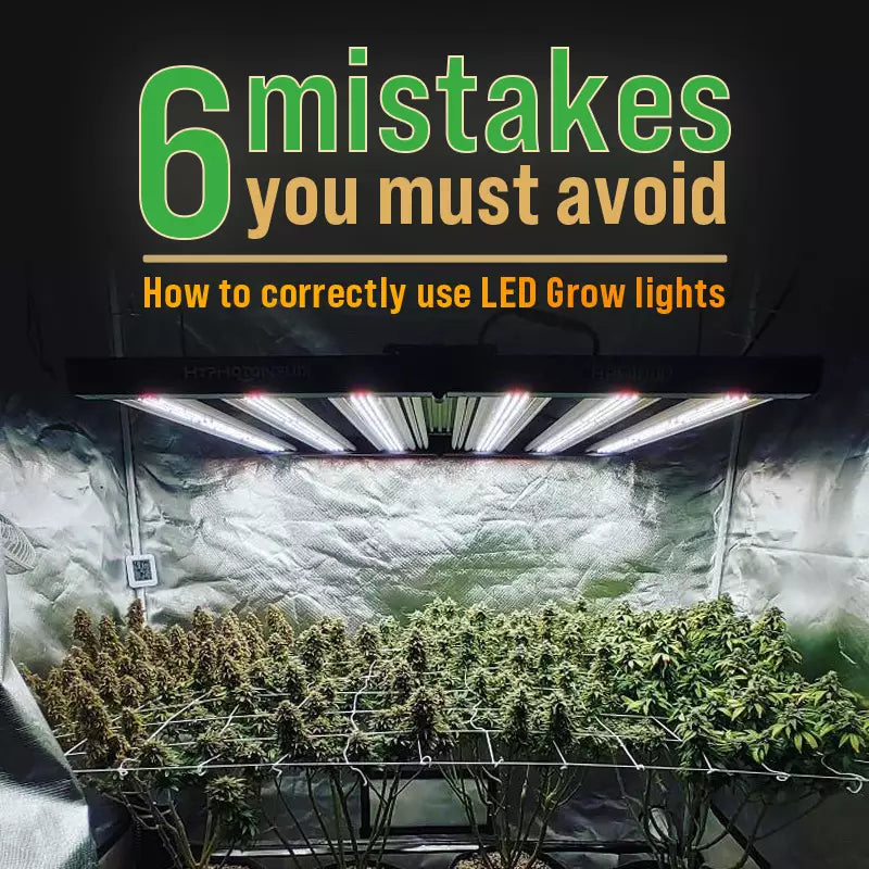 How to correctly use LED Grow lights---6 mistakes you must avoid