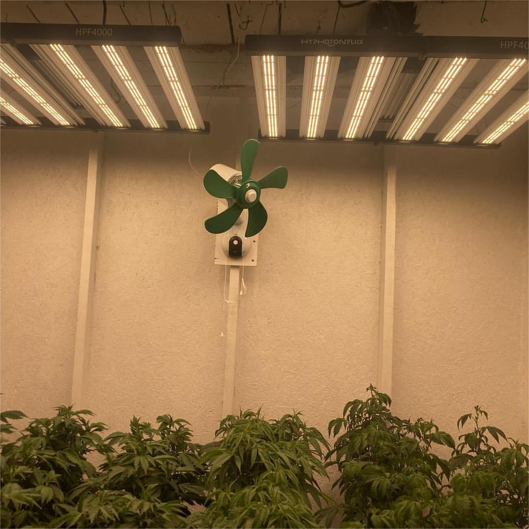 Advice for a newbie on sitting up a cannabis grow in a limtited space
