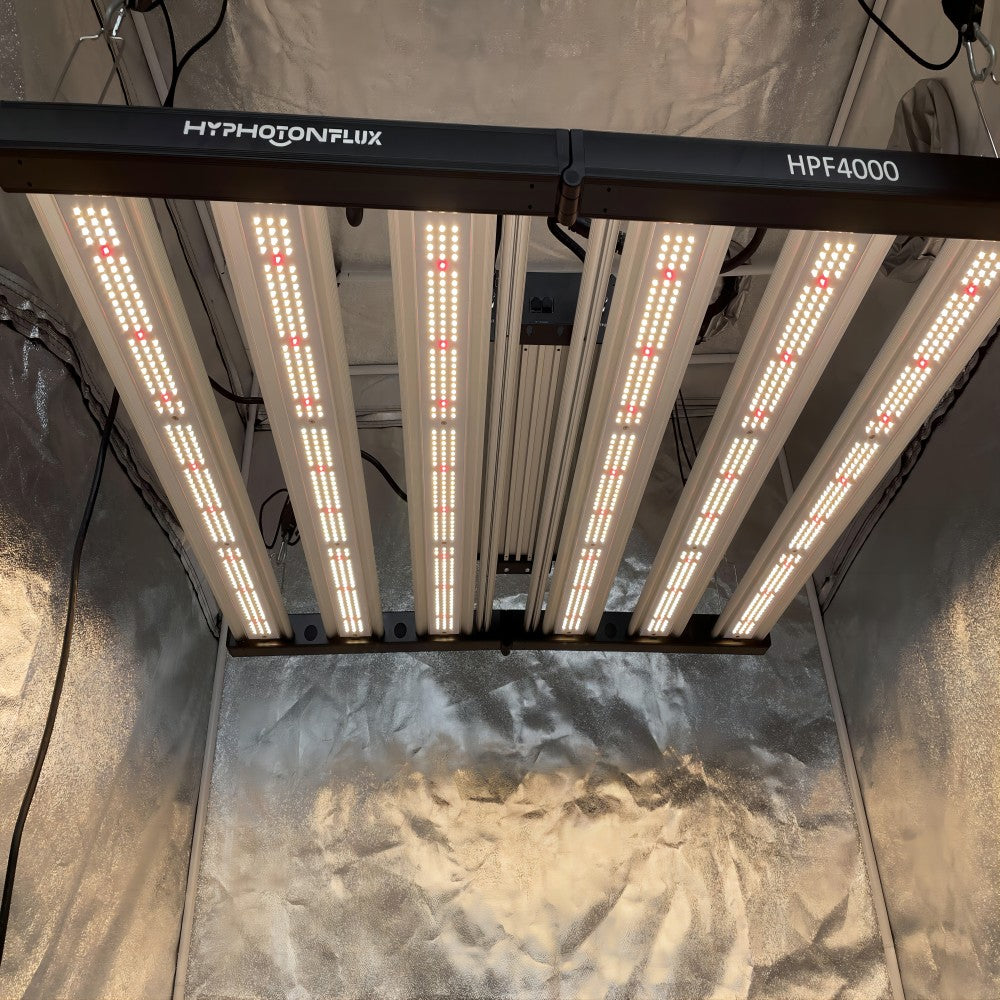 How to clean and maintain your lights?