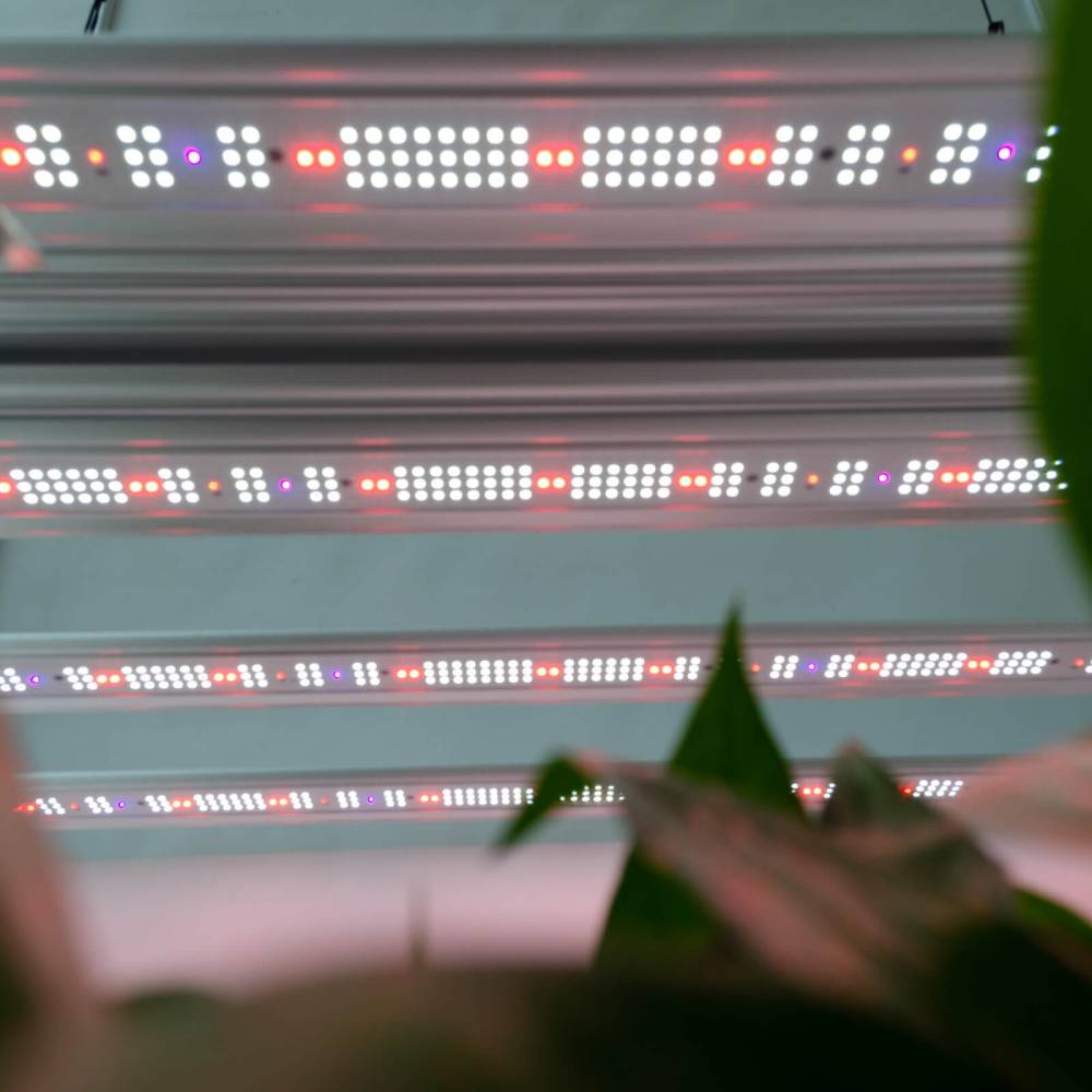 How does Light Spectrum affect plant growth