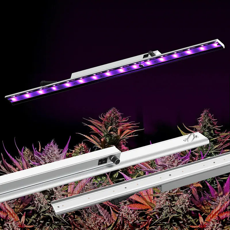 HYPHOTONFLUX 30W UV-A Bar, UV Supplemental Booster Released