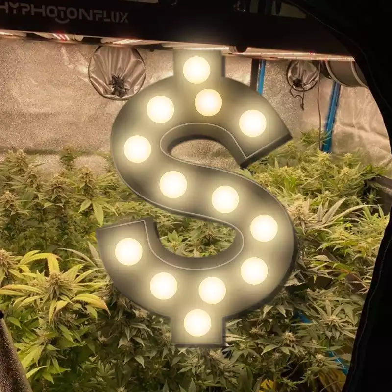 How much electricity bill it cost in a full cycle(Autoflower) under HPF4000?
