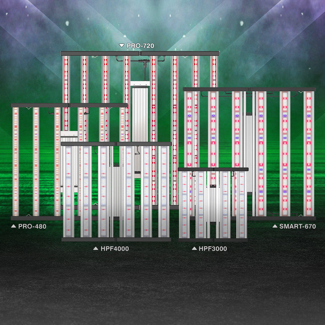 The science of horticultural LEDs