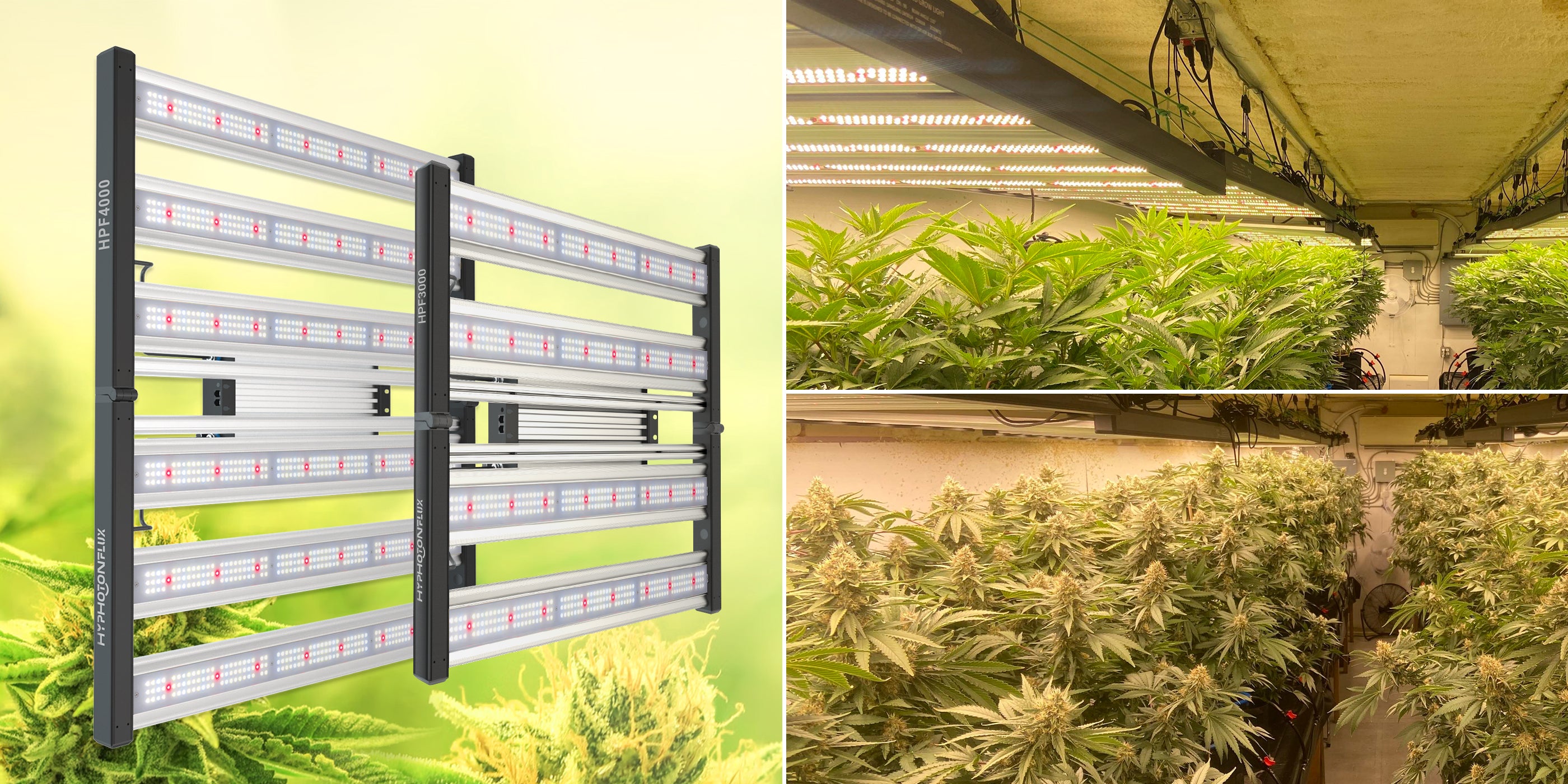 4x4 led grow light full spectrum