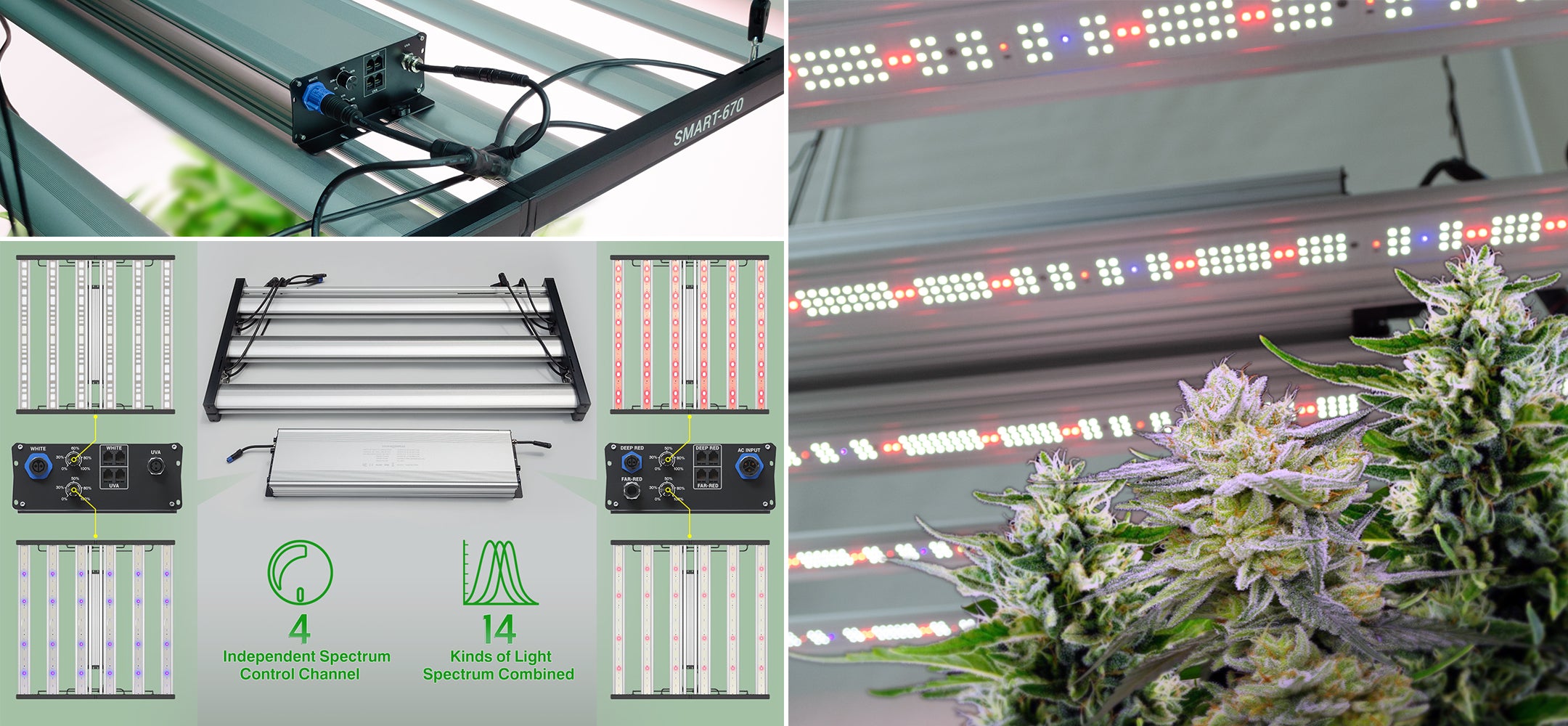 LED grow light unique spectrum tuning design-4 independent control channels of UV,IR,Infrared,full spectrum