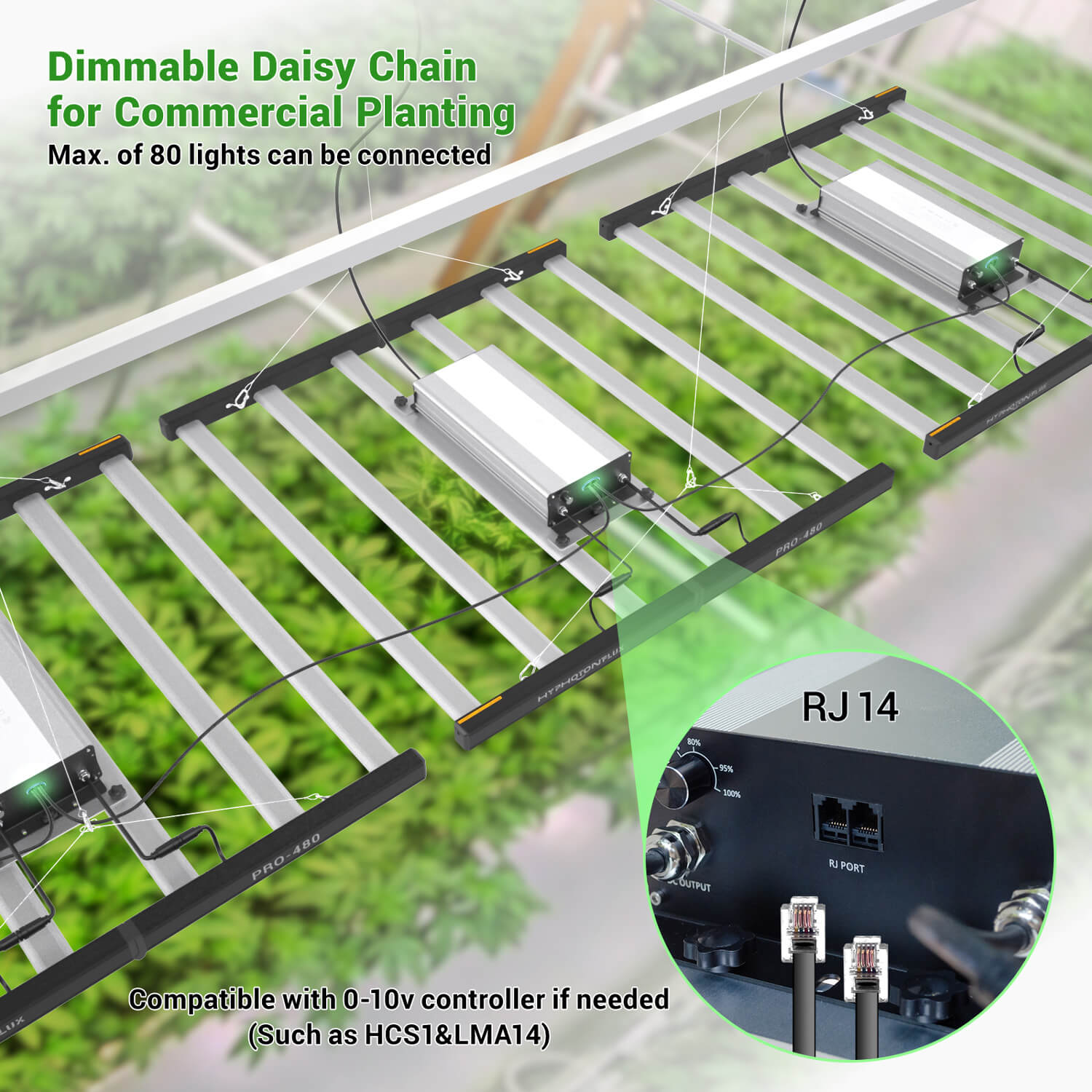 led grow light full spectrum for sale