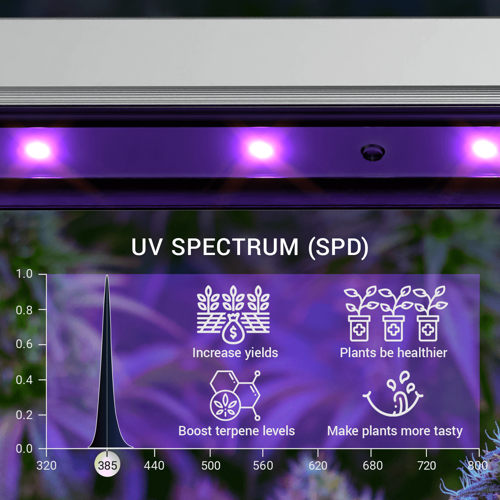 HYPHOTONFLUX UV-A LED Grow Light, Commercial UV Supplemental Bar 30W, Two Pack