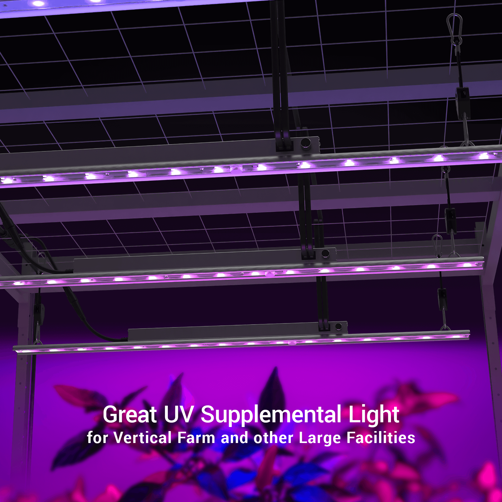 HYPHOTONFLUX UV-A LED Grow Light, Commercial UV Supplemental Bar 30W, Two Pack