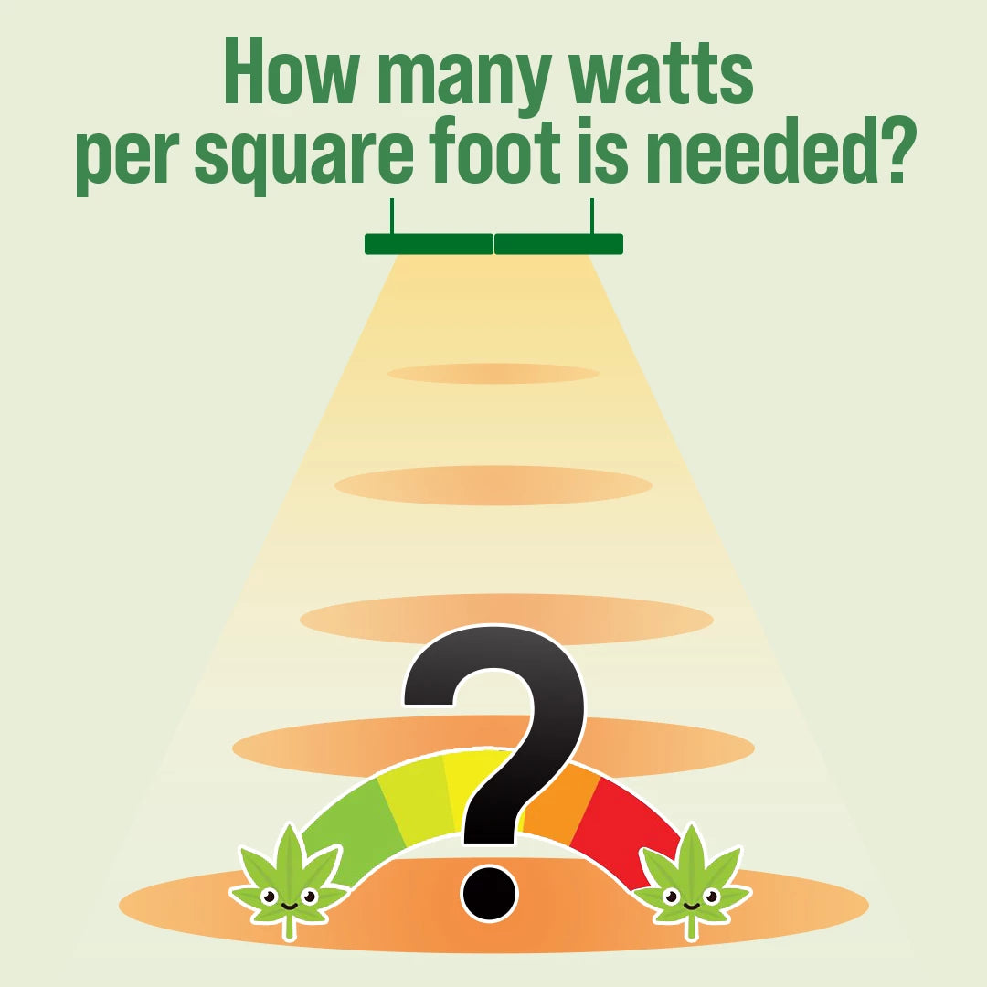Calculate How Many Watts Per Square Foot For LED Grow Lights Of Grow Room