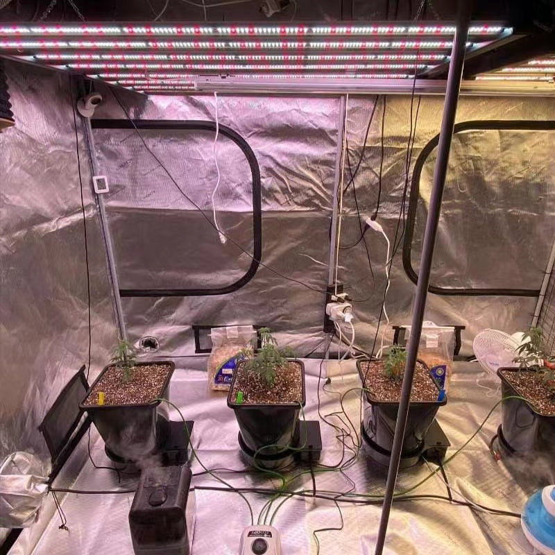 What LED light is best for growing plants